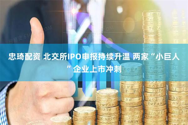 忠琦配资 北交所IPO申报持续升温 两家“小巨人”企业上市冲刺