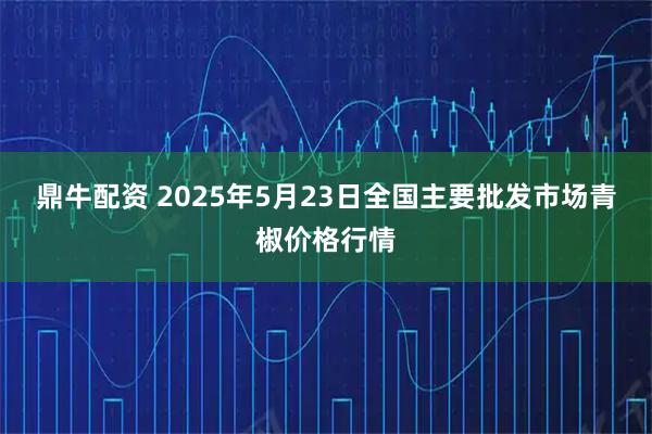 鼎牛配资 2025年5月23日全国主要批发市场青椒价格行情