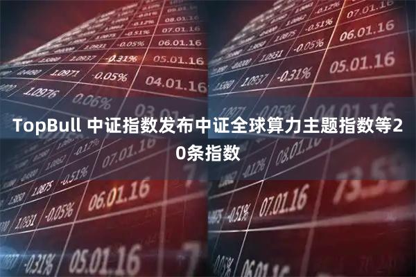 TopBull 中证指数发布中证全球算力主题指数等20条指数