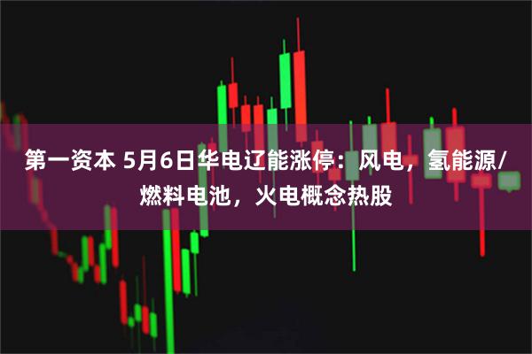 第一资本 5月6日华电辽能涨停：风电，氢能源/燃料电池，火电概念热股