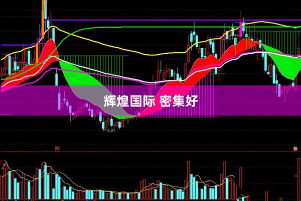 辉煌国际 密集好