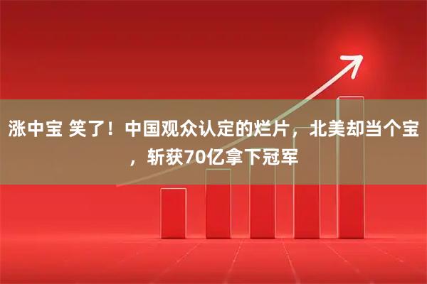 涨中宝 笑了！中国观众认定的烂片，北美却当个宝，斩获70亿拿下冠军